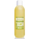 Saloos Bio brutnákový rostlinný olej lisovaný za studena 1000 ml – Sleviste.cz