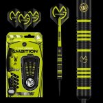 Steel Winmau Michael van Gerwen Ambition Brass 24 g – Zboží Mobilmania