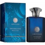 Amouage Interlude Black Iris parfémovaná voda pánská 100 ml – Hledejceny.cz