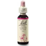 Bachovy květové esence Modřín opadavý Larch 20 ml – Hledejceny.cz