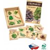 Karetní hry Lesní svět Tripexeso Dřeviny