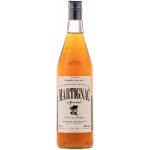 Martignac 38% 0,7 l (holá láhev) – Zboží Dáma