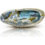 Přírodní podstavec pod kadidlo na šperky KRÁSNÁ mušle Abalone 14-15 – Zboží Dáma
