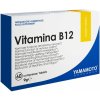 Vitamín a minerál Yamamoto Vitamina B12 60 tablet