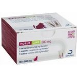 Dechra Veterinary Products A/S Porus One 30 x 500 mg – Hledejceny.cz