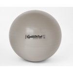Ledragomma Gymnastik Ball BIOBased 65 cm – Zboží Mobilmania