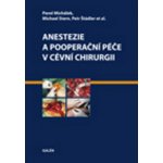 Anestezie a pooperační péče v cévní chirurgii - Petr Štádler, Pavel Michálek, Michael Stern – Hledejceny.cz