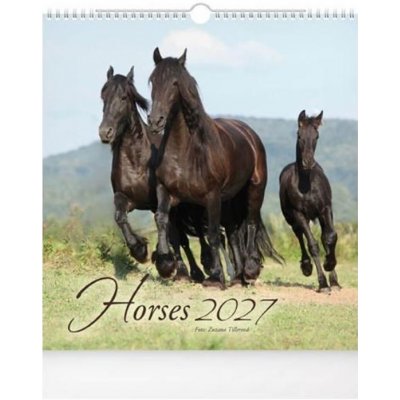 nástěnný malý Horses 1061735 2027 – Hledejceny.cz