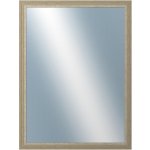 DANTIK LYON 60x80 cm stříbrná 2704 – Hledejceny.cz