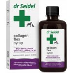 Dr Seidel Collagen Flex Sirup 250 ml – Hledejceny.cz