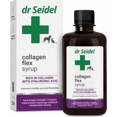 Dr Seidel Collagen Flex Sirup 250 ml – Hledejceny.cz