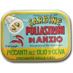 S.A.P.A. Pollastrini Sardinky v olivovém oleji pikantní 100 g – Hledejceny.cz