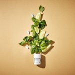 Centrum Silver 100+30 tablet dárkové balení – Hledejceny.cz