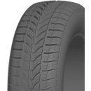 Trayal Arctica 195/65 R15 91T