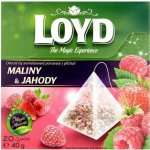 Loyd Tea Maliny a jahody ovocný čaj 20 sáčků – Zboží Mobilmania