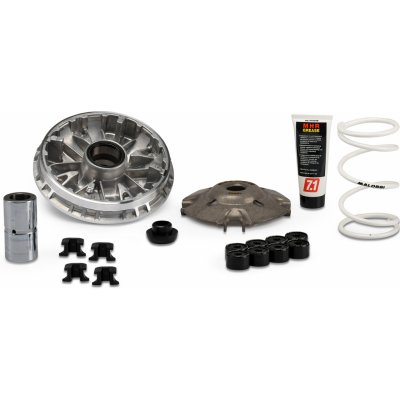 Variátor MALOSSI Multivar 2000, HONDA FORZA 350 /​ SH I 350 / ADV 350 2021- M5118980 | Zboží Auto