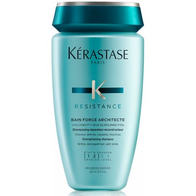 Kérastase Resistance Bain Force Architecte Strengthening Shampoo [12] 250 ml – Zboží Dáma