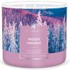 Svíčka Goose Creek Candle Frozen Twilight 411 g