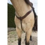 Equitheme Westernový poprsník Westride hnědý – Zboží Dáma
