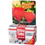 SILVA TABS Hnojivo na jahody 250g – Zbozi.Blesk.cz