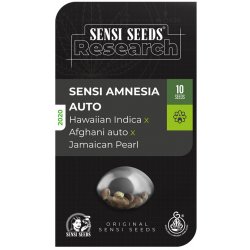 Sensi Seeds Sensi Amnesia Automatic semena neobsahují THC 5 ks