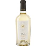 Fantini Vini Grillo "Luma" Cantine Cellaro 2025 12,5% 0,75 l (holá láhev) – Hledejceny.cz