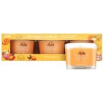 Yankee Candle Mango Ice Cream 3 x 37 g – Hledejceny.cz