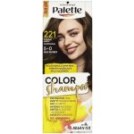 Pallete Color Shampoo středně hnědý 221 – Zbozi.Blesk.cz