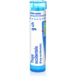 THUYA OCCIDENTALIS POR 9CH GRA 3X4G – Hledejceny.cz
