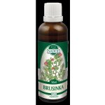 Naděje Brusinka tinktura z pupenů rostlin 50 ml – Hledejceny.cz
