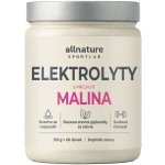 Allnature Sportlab Elektrolyty 310 g – Hledejceny.cz