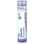 RUTA GRAVEOLENS POR 30CH GRA 4G – Hledejceny.cz