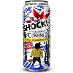 BigShock! Winter Edition is Coming 0,5 l – Hledejceny.cz