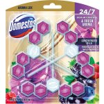 Domestos Aroma Lux Hibiscus oil&Wild Berries tuhý WC blok 3 x 55 g – Zboží Dáma