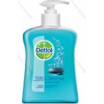 Dettol Cleanse antibakteriální mýdlo dávkovač 250 ml – Sleviste.cz