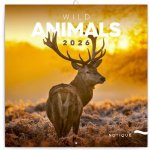 Divoká zvířa nástěnný 2026 – Zbozi.Blesk.cz