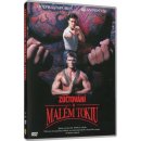 L. lester mark: zúčtování v malém tokiu DVD