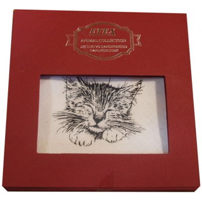 dámský kapesník s motivem kočičky – Zboží Dáma