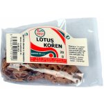 Sunfood Lotus kořen sušený 20 g – Zboží Dáma