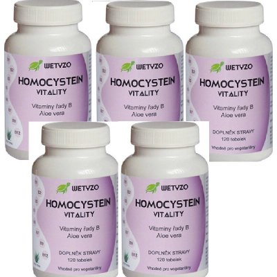 HCY Vitality Homocystein s Aloe vera 600 tablet – Hledejceny.cz