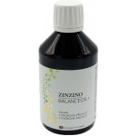 BalanceOil+ Vegan 300 ml – Hledejceny.cz