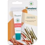 Himalaya Herbals Hydratační balzám na rty 10 g – Zboží Dáma