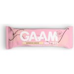 GAAM Proteinová Tyčinka 45 g – Hledejceny.cz
