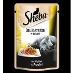 Carnilove Cats WMM Adult Turkey & Salmon 100 g – Hledejceny.cz