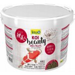 Tetra Pond Koi Beauty Small 10 l – Hledejceny.cz
