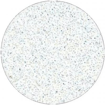 Staleks Pododisc bílé pilníky na pedikúru L 50 ks – Hledejceny.cz