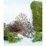 Heki Kittler 15 keřů list 1530 – Zboží Dáma