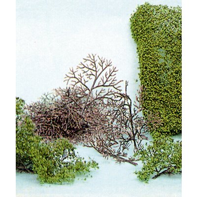 Heki Kittler 15 keřů list 1530 – Zboží Dáma