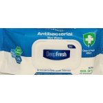 Aksan Deep Fresh antibakteriální vlhčené ubrousky 100 ks – Hledejceny.cz