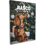 RASCO Premium adventní kalendář pro psy – Zboží Dáma